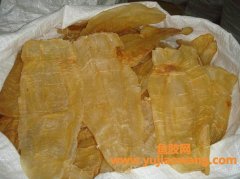 市面上花胶的价格(市面上的花胶有假的吗)