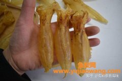 小孩吃蜘蛛胶的好处(牛胶小孩吃有什么好处)