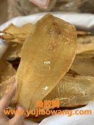 喉咙有痰可以吃鱼胶吗