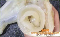 发好的花胶肚图片(浓汤花胶肚图片)