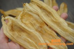 双背鱼胶的功效与作用禁忌(双背鱼胶的功效和作用)