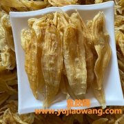 北海双背鱼胶的功效(北海鱼胶的营养价值及功效)