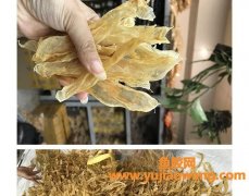 佐罗鱼胶一斤多少钱(正宗的鱼胶多少钱一斤)