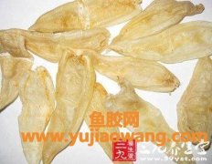 中药花胶的价格(中药店有花胶卖吗)