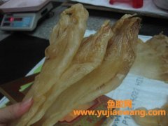 一斤半黄唇干鱼胶多少钱一斤