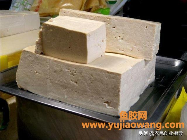 卖鱼胶利润高吗(在农村卖豆腐可以不,利润怎么样?) 卖鱼胶利润高吗(在农村卖豆腐可以不,利润怎么样?)