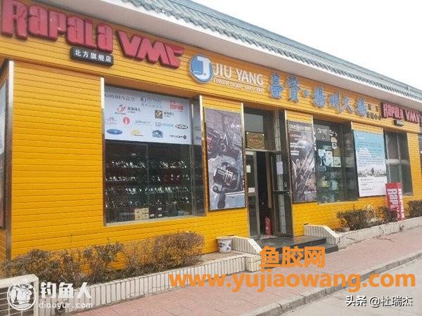 中国鱼胶最大批发市场(国内最大的海参批发市场在大连吗？)