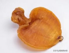 有甲状腺结节能吃花胶吗()
