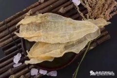 石肚鱼胶是做出来的吗(鱼胶种类有几种？)
