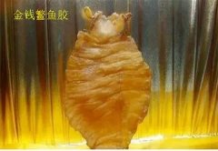 新鲜米鱼鱼胶图片(怎么辨别花胶真假？)