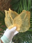 溪沃鱼胶产地(花胶怎么发泡？)