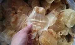 黄花鱼胶食用方法(黄花鱼胶怎么食用呢？)
