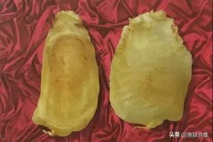 双芽鱼胶是什么鱼种(什么是鱼胶？鱼胶有什么营养价值，又有什
