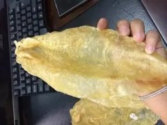大头鱼鱼胶的作用(农村俗语“鳙鱼头草鱼尾，鲢鱼肚皮鲤鱼嘴”