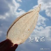 坚持吃花胶十年的效果(护肤吃鱼胶有效果吗？)