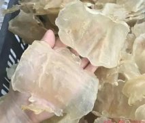 拼多多花胶那么便宜(拼多多上的东西质量怎么样？)