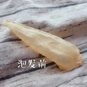 花胶对子宫肌瘤的作用(子宫肌瘤最怕什么食物？)