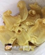 花胶男人吃了有什么好处(吃花胶和燕窝对身体有哪些帮助？)