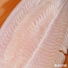 巴沙鱼胶价格是多少钱一斤(花胶价格是多少钱一斤?) 巴沙鱼胶价格是多少钱一斤(花胶价格是多少钱一斤?)