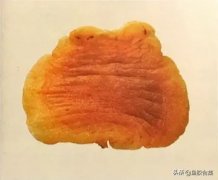 花胶煮汤后需要吃掉吗(天天喝猪蹄花胶汤，只喝汤，不吃肉，会