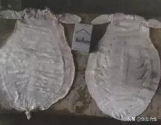 鱼胶的吃法大全图片(花胶煲汤的做法有哪些？)