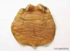 湛江赤嘴鱼胶(鱼胶种类有几种？)