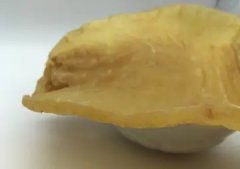 野生小金龙鱼胶(小鱼胶如何煲汤？)