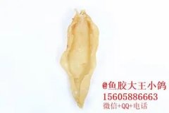 假的鱼胶是什么样子的(如何辨别鱼胶的真假？)