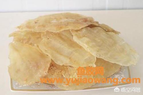 花胶种类排名(哪个品种什么鱼胶最好?) 花胶种类排名(哪个品种什么鱼胶最好?)