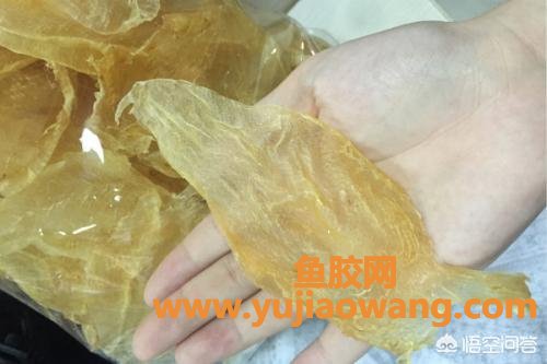 花胶种类排名(哪个品种什么鱼胶最好?) 花胶种类排名(哪个品种什么鱼胶最好?)