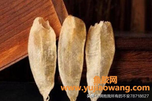 花胶种类排名(哪个品种什么鱼胶最好?) 花胶种类排名(哪个品种什么鱼胶最好?)
