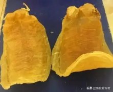 100g鱼胶的营养成分含量表(食品厂生产花胶，标签上面是否必须