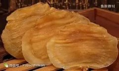 花胶价格大概多少钱一斤(花胶价格是多少钱一斤？)