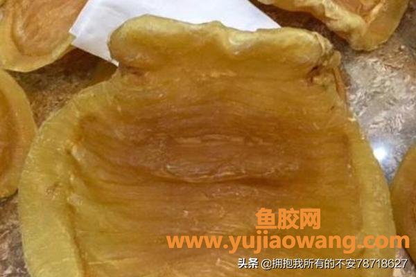 花胶排行榜(怎么选择好花胶？)