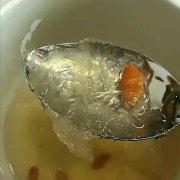 花胶鸽子汤的做法(春天鸽子汤怎么吃最有营养？)