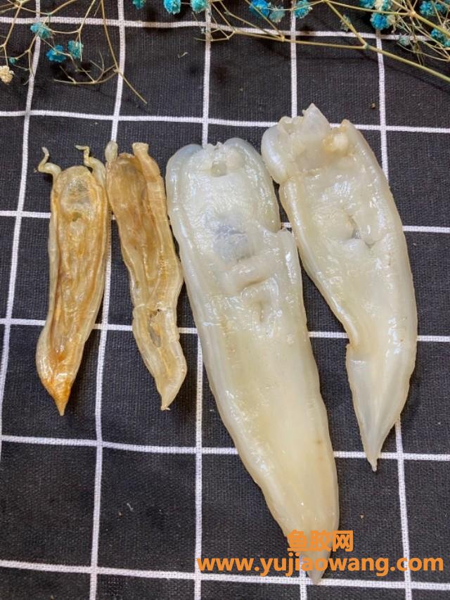 什么品种的花胶功效最好(哪个品种什么鱼胶最好?) 什么品种的花胶功效最好(哪个品种什么鱼胶最好?)