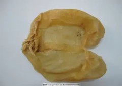 鳕鱼胶最简单的做法(鱼胶的做法是什么？)
