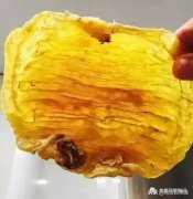 鱼胶怎么制作出来的(鱼胶的做法是什么？)
