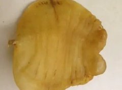 鱼胶营养成分含量表(食品厂生产花胶，标签上面是否必须要有营