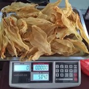 鱼胶薄的是不是不好(鱼胶越厚越好吗？营养也会越好吗？)
