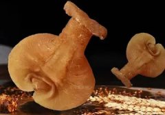 鳕鱼胶适合孕妇吃吗(请问怀孕可以吃鸡蛋胶和鳕鱼胶吗？)