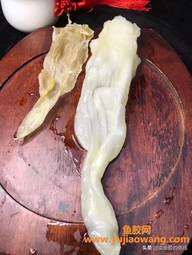如何快速浸泡花胶(花胶怎么发泡?) 如何快速浸泡花胶(花胶怎么发泡?)