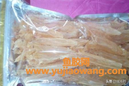 花胶在冰箱里放了八年还可以吃吗(珍藏了三十年的鱼胶还能再吃吗? 花胶在冰箱里放了八年还可以吃吗(珍藏了三十年的鱼胶还能再吃吗?