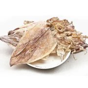 安南鱼胶是什么鱼的鱼鳔(鱼胶种类有几种？)