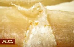 桃胶如何食用方法(桃胶怎么吃？)