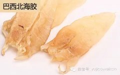 鱼胶正确的泡发方法 怎么吃(花胶怎么发泡？)