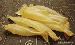 鱼胶和什么搭配吃最好(小鱼胶如何煲汤？)