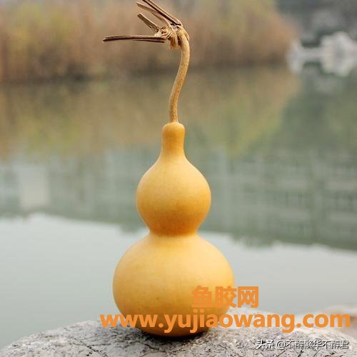 葫芦胶的功效及吃法(葫芦能有多少种用处?) 葫芦胶的功效及吃法(葫芦能有多少种用处?)