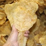 鱼胶要提前一天泡发吗(鱼胶要泡多久？)