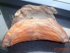 鱼胶功效作用与主治(花胶的功效与作用？)